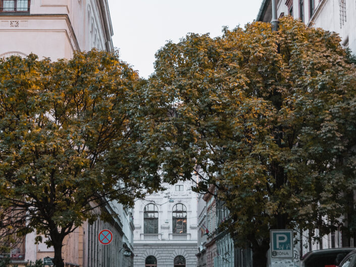 budapest città novembre monumenti vita strade