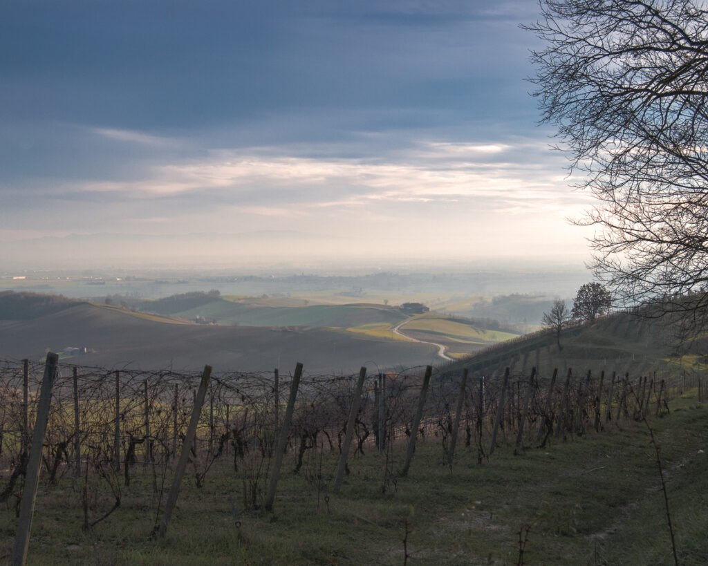 Monferrato: fotografia d'inverno