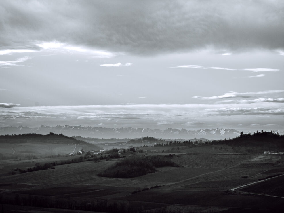 Monferrato: fotografia d'inverno