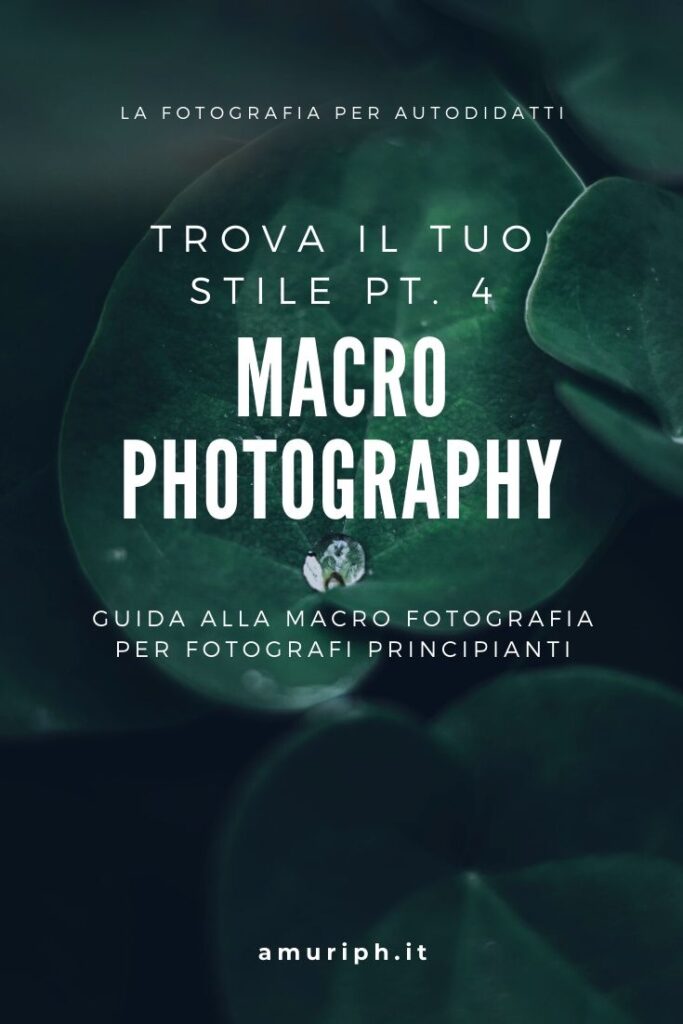 magro photography fotografia macro guida