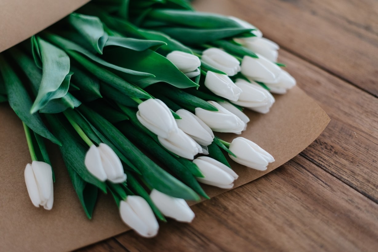 regali foto personalizzati - festa della mamma - tulipani bianchi