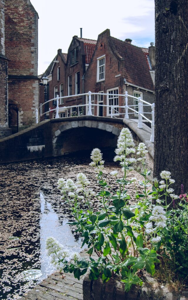 delft paesi bassi city landscape canale ponte