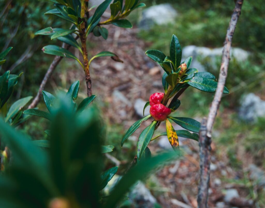 landscape photo nature photography beginner guide