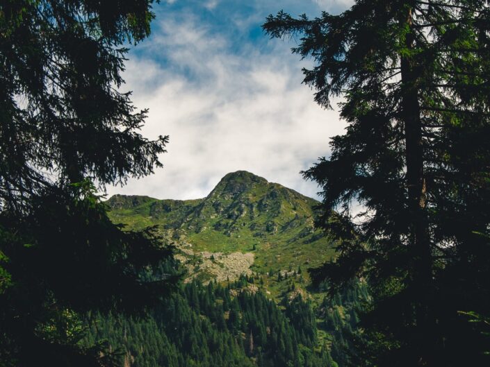 fotografia sentiero casere montagna boschi landscape photography