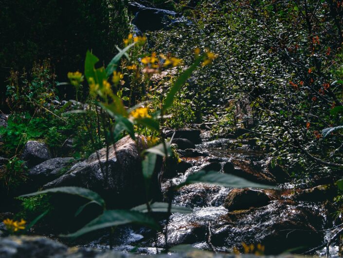 fotografia sentiero casere montagna torrente boschi
