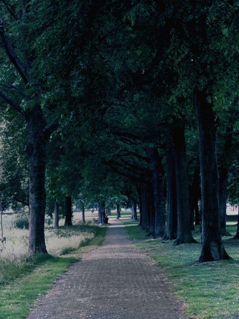 come fare foto moody per instagram - moody aesthetic how to edit