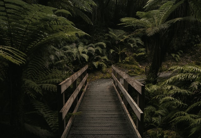 how to make moody photo for instagram editing photography amauriph