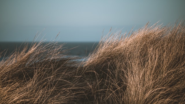 how to use contrast in photography to create the dreamy effect