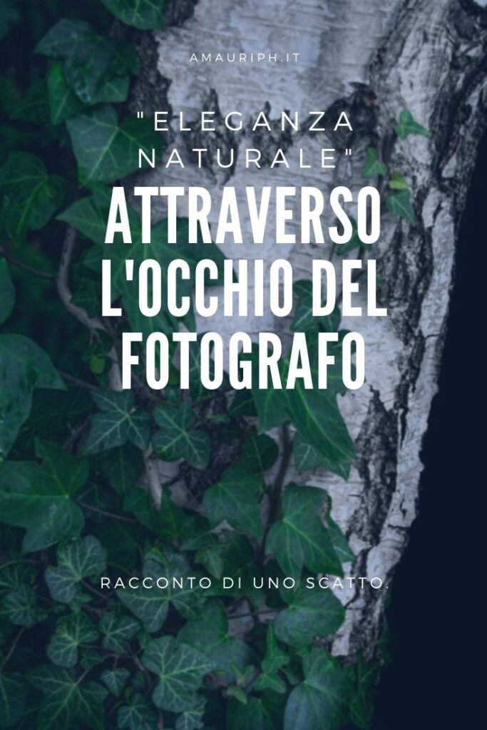 attraverso l'occhio del fotografo - eleganza naturale by arianna mauri- amauriph