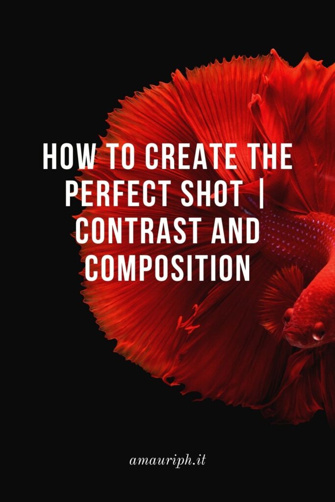 How to create the perfect shot  Contrast and Composition