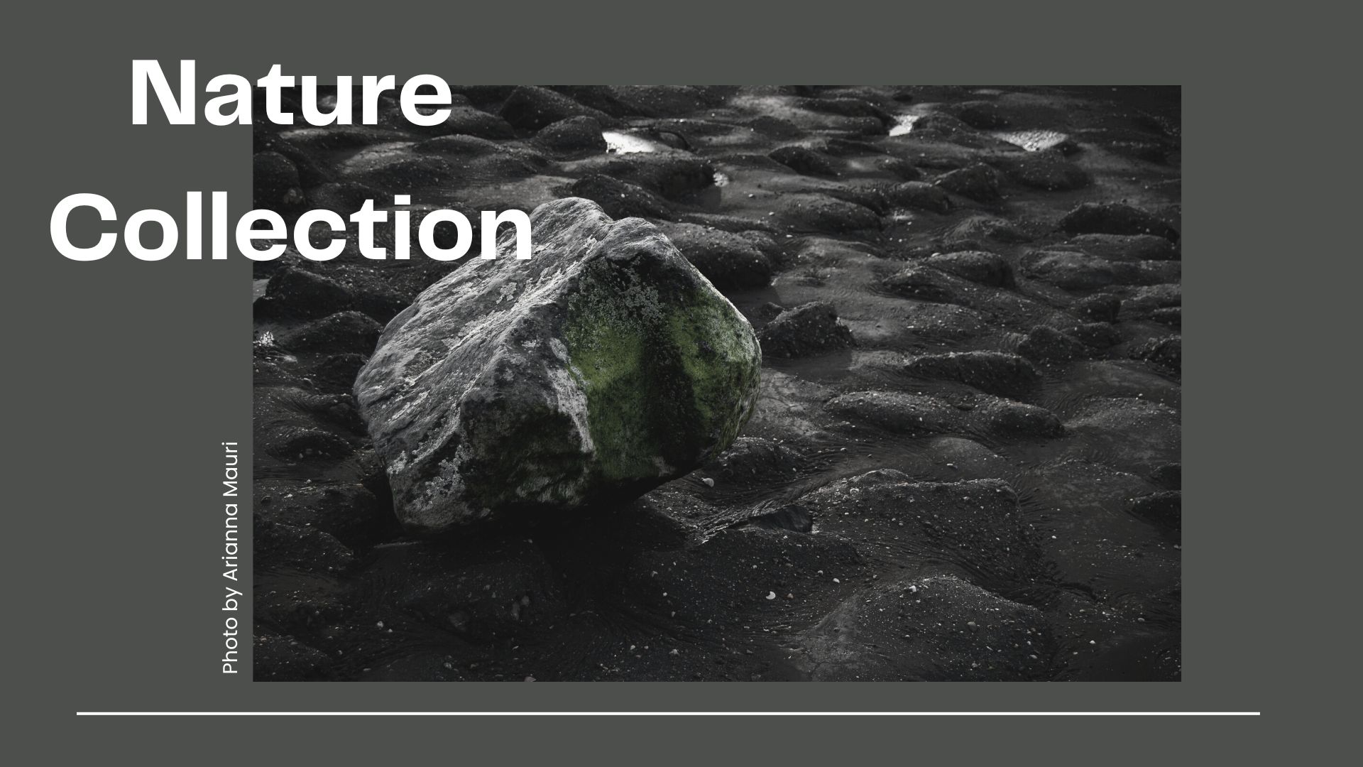 nature collection-Single portfolio header
